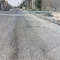 گرگور