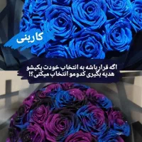 خاص و ماندگار|گل و گیاه طبیعی|صباشهر, |دیوار