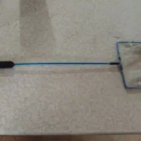 آکواریوم و ماهی|ماهی|کرمان, |دیوار