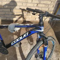 دوچرخه حرفه ای