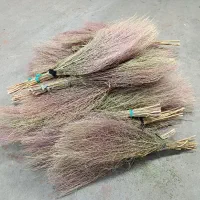 جارو دستی