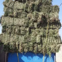 یونجه درجه یک و سیلو