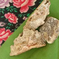 سنگ های تزیینی|کلکسیون و سرگرمی|هلالی, |دیوار