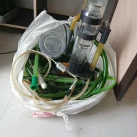 آکواریوم|ماهی|اردبیل, |دیوار