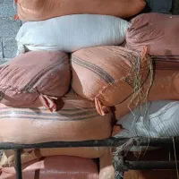 فروش سوب برنج ویژه دام و طیور|لوازم جانبی حیوانات|آستانه اشرفیه, |دیوار