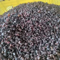 همه مدل بار کشمش موجود می باشد|خوردنی و آشامیدنی|ماهدشت, |دیوار