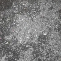 فروش کود درخت بنه