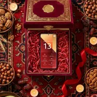 redmi note 13 pro 12 ram