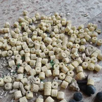 لوازم اب شور|ماهی|اهواز, بهارستان|دیوار