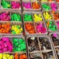 مرکز فروش جوجه یکروزه درخراسان جنوبی به قیمت تهران