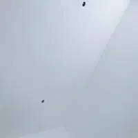 سفیدکاری و لکه گیری ، گچ کاری|خدمات پیشه و مهارت|اهواز, عین ۲|دیوار