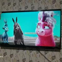 تلویزیون 43|تلویزیون و پروژکتور|فریمان, |دیوار