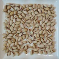 خرید و فروش پسته