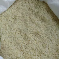 برنج دمسیاه