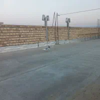 دوتا شازده|پرنده|گنبد کاووس, |دیوار