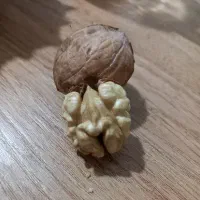 گردو درجه یک|خوردنی و آشامیدنی|کرج, آق تپه|دیوار
