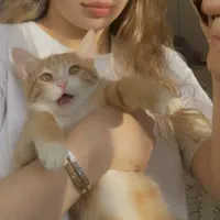 واگذاری
