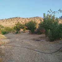 فروش باغ در میشخاص|فروش خانه و ویلا|سیوان, |دیوار