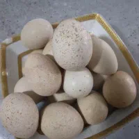 تخم تازه|خوردنی و آشامیدنی|فسا, |دیوار