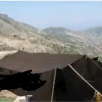 سیا چادر