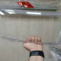 سپر طلق چراغ جلو پنجره خطر عقب چراغ جلو|قطعات یدکی و لوازم جانبی|قم, مسجد امام حسن|دیوار