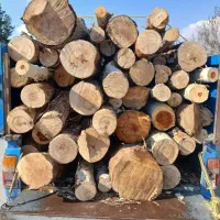 خریدارچوبهای باغی وهرس کردن درخت خ۸خ