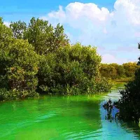 تور قشم با قطار