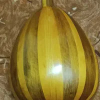 عود خانی نو مشتری واقعی تماس|سازهای سنتی|بندرعباس, |دیوار