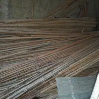 با درود .نی خیزران یا چوب بامبو