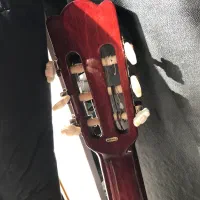 گیتار maxineبه همراه کیف|گیتار، بیس، امپلیفایر|قزوین, |دیوار