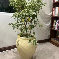 گلدان سفال پتینه