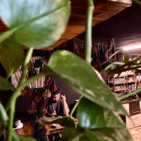 استخدام باریستا به همراه آموزش رایگان