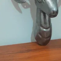 کله قوچ علامت