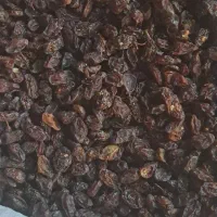 کشمش و مویز|خوردنی و آشامیدنی|بیضا, |دیوار