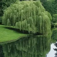 کوهنوردی ، طبیعت گردی