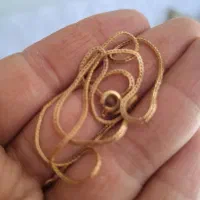 طلا با ۳درصد|جواهرات|بیرجند, |دیوار