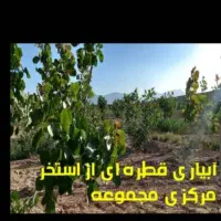 فروش زمین باغ دارای استخر و اصطبل اسب|فروش زمین و ملک کلنگی|مسجد سلیمان, |دیوار