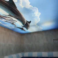 کشسان|مصالح و تجهیزات ساختمان|آستارا, |دیوار