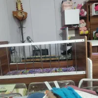 تخت کودک سه کاره|تخت و صندلی بچه|سمنان, |دیوار