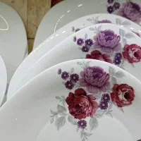 ۵دست ارکوپال نونو