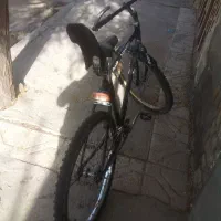 دوچرخه دماوند|دوچرخه، اسکیت، اسکوتر|تربت جام, باغ سنگان سفلی|دیوار