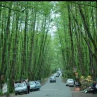 تور یکروزه ساحل گیسوم 7 آبان پنج شنبه