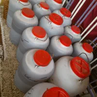 عسل خوراکی