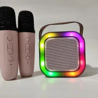 اسپیکر به همراه دو میکروفن