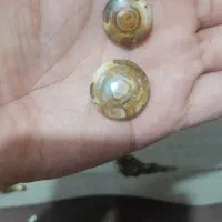 فروش دوعددسنگ سلطانی|جواهرات|اهواز, نیوساید|دیوار