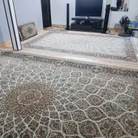 اپارتمان اجاره ای میثم شمالی