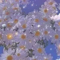 سناریو نویسی برای پیج شما