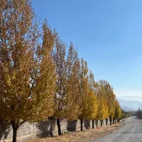باغ ۱۰۰۰ متر در بهترین نقطه جابان دماوند باغستان
