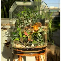 انواع گل طبیعی برای روز زن