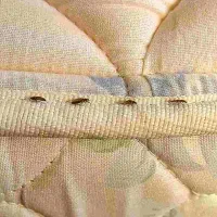 سم‌پاشی فوری و تضمینی،ایمن وتخصصی|خدمات نظافت|دزفول, |دیوار